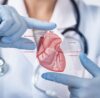 Doctor in medical uniform showing an anatomical diagram of the human heart, representing the difference between cardiologists and cardiothoracic surgeons in diagnosing and treating heart conditions.